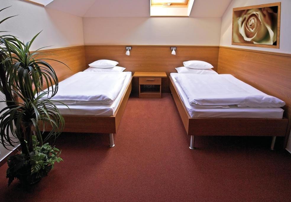 Hotel Promedicum Panzio Veszprém Zimmer foto